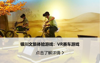 廣告營銷-銀川文旅體驗游戲：VR賽車游戲.png